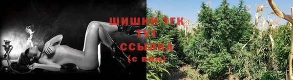 сатива Баксан