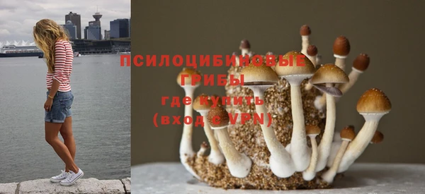 гашик Балабаново