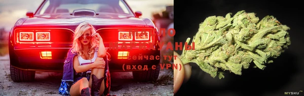 сатива Баксан