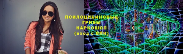 сатива Баксан