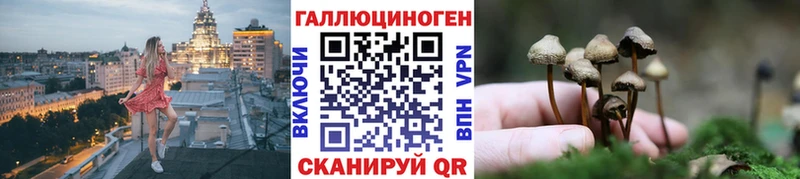 Псилоцибиновые грибы Psilocybe Севск